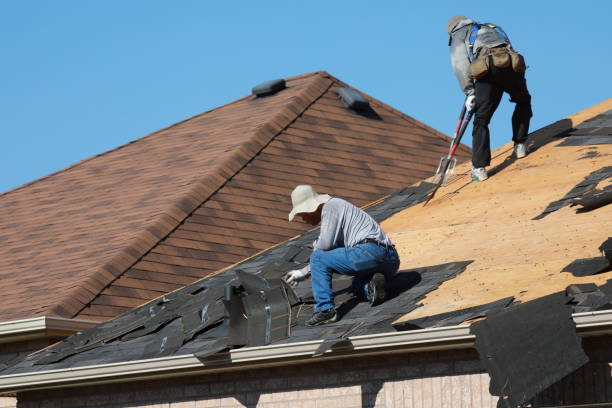 Best Roof Maintenance and Cleaning  in Norfolk, NE